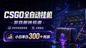 CSGO全自动挂机，游戏搬砖捡漏，软件科技简单易用，长期稳定，小白单日300+利润-副业网创