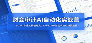 财会审计AI自动化实战营：Python审计工具箱开发，ExcelVBA加载项与AI协同编程-副业网创