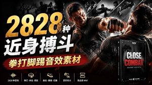 宝藏级别音效！2828种近身搏斗拳打脚踢音效素材，全部中文分类，免解压使用  Close Combat-副业网创