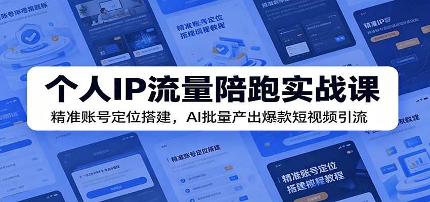 个人IP流量陪跑实战课：精准账号定位搭建，AI批量产出爆款短视频引流-副业网创