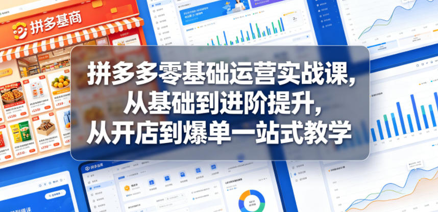 拼多多零基础运营实战课，从基础到进阶提升，从开店到爆单一站式教学-副业网创