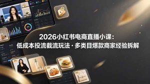 2026小红书电商直播小课，低成本投流截流玩法，多类目爆款商家经验完整拆解教学-副业网创