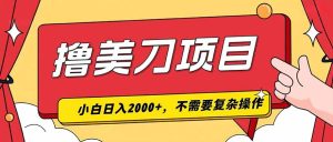 撸美刀，单日收入2000+，小白可做-副业网创