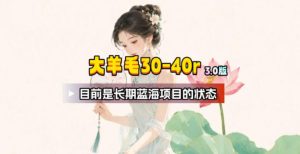 【大羊毛】几分钟30-40r，【流量体联盟】，可以矩阵，操作无脑简单-副业网创