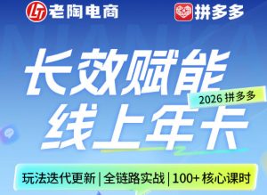 拼多多线上SVIP线上年卡，从认知到基础、从推广到活动、从活动到玩法，全链路实战(260730)-副业网创