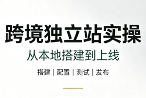 跨境独立站实操:从本地搭建到上线-副业网创