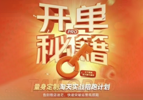 天下网商·淘宝天猫陪跑计划(更新7月)-副业网创