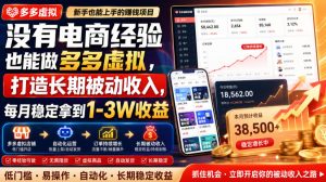 没有电商经验也能做多多虚拟,打造长期被动收入,每月稳定拿到1-3W收益【揭秘】-副业网创