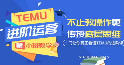 阿卡林·TEMU运营课程(基础+进阶)-副业网创