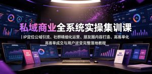私域商业全系统实操课|IP定位公域引流、社群精细化运营、朋友圈内容打造、高客单成交与用户裂变完整落地教程-副业网创