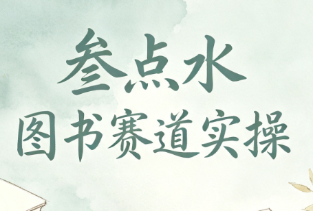 叁点水图书赛道实操-副业网创