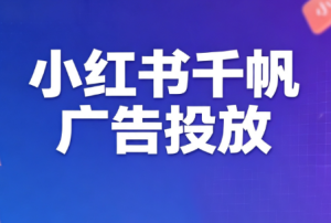 王烽哥·小红书千帆广告投放课程-副业网创