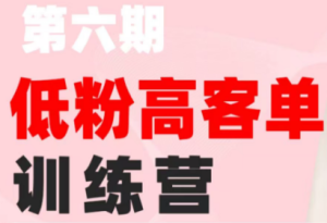 珠丽Julie·小红书低粉高客单训练营(第六期)-副业网创