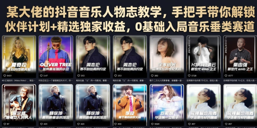某大佬的抖音音乐人物志教学，手把手带你解锁伙伴计划+精选独家收益，0基础入局音乐垂类赛道-副业网创