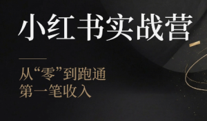 金金老师·小红书实战营-副业网创
