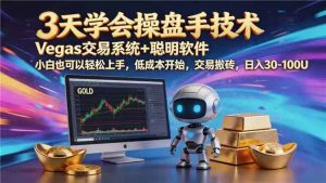【3天学会手工单交易】Vegas交易技术+聪明软件，日赚50-1000U， 长期稳定，小白轻松上手-副业网创