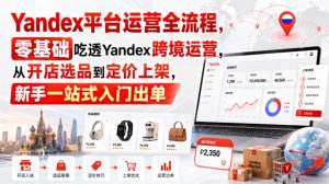 Yandex平台运营全流程,零基础吃透Yandex跨境运营,从开店选品到定价上架,新手一站式入门出单-副业网创