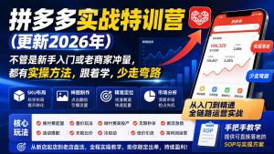 拼多多实战特训营(更新26年0821-副业网创