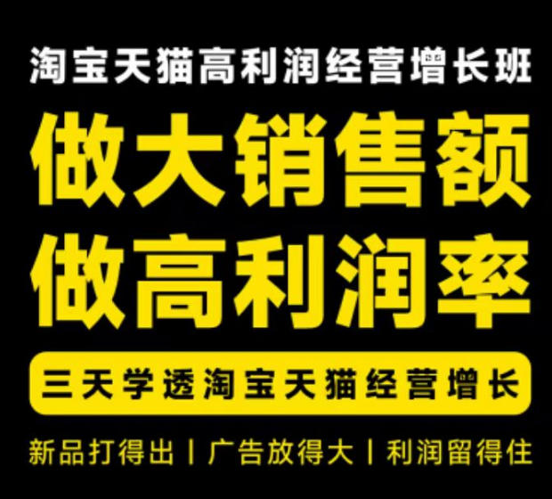 天猫淘宝高利润经营增长班杭州线下课31期8月22-24日，做大销售额做高利润率，三天学透淘宝天猫经营增长-副业网创