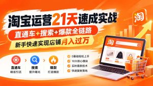 淘宝运营21天速成实战(更新8月-副业网创