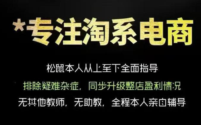 松鼠会电商VIP课程,从基础布局到高阶优化,助你掌握淘宝运营逻辑,提升店铺流量与转化(更新0815)-副业网创