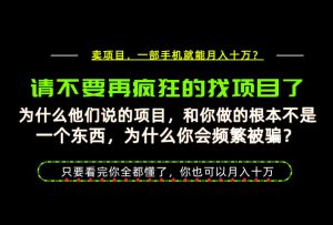 为什么做项目的人大多都是炮灰？为什么只有卖项目才能稳？看完你也可以月入10W+【揭秘】-副业网创