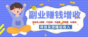2026年多个真实落地副业项目,手把手带你搭建被动收入管道(淘宝无人直播、海外TK拉新…-副业网创