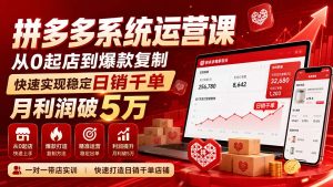 拼多多系统运营课(更新8月-副业网创