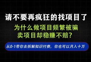 找项目？别傻了！卖项目才是真的一本万利！看完你全都懂了【揭秘】-副业网创