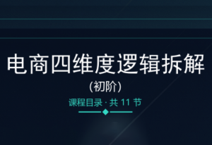 老木老师·电商四维度逻辑拆解(初阶)-副业网创