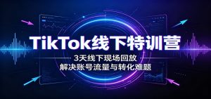 TikTok线下特训营：3天线下现场回放，解决账号流量与转化难题-副业网创
