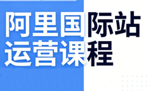 张国儒·阿里国际站运营课程(更新7月)-副业网创