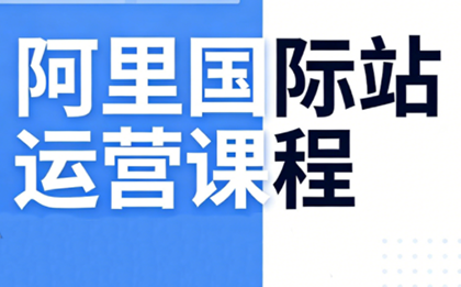 张国儒·阿里国际站运营课程(更新7月)-副业网创