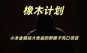 橡木计划，小投入撬动高回报的风口野路子项目，一天投入2小时左右-副业网创