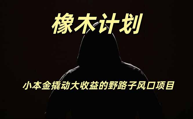 橡木计划,小投入撬动高回报的风口野路子项目,一天投入2小时左右-副业网创