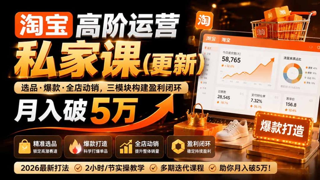 淘宝高阶运营私家课(更新26年-副业网创