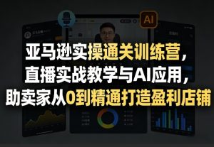 亚马逊实操通关训练营，直播实战教学与AI应用，助卖家从0到精通打造盈利店铺(更新8月17日)-副业网创