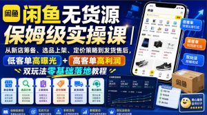 闲鱼无货源保姆级实操课|从新店筹备、选品上架、定价策略到发货售后,低客单高曝光+高客单高利润双玩法零基础落地教程-副业网创
