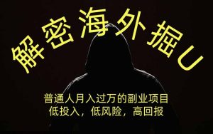 解密海外掘U，普通人月入过万的副业项目，低投入、低风险高回报，没有之一-副业网创