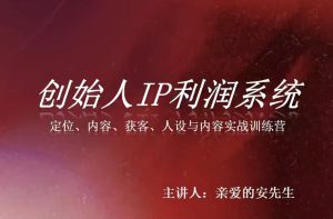 创始人IP利润系统8月训练营,定位、内容、获客、人设与内容实战训练营-副业网创