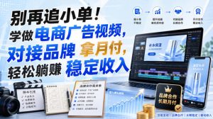 别再追小单！学做电商广告视频，对接品牌拿月付，轻松躺賺稳定收入【原创双语字幕】-副业网创
