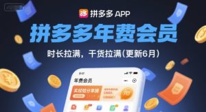 拼多多年费会员，实经验分享操，时长拉满，干货拉满(更新260827)-副业网创