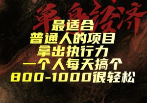 最适合普通人的项目，拿出执行力一个人每天搞个800-1k很轻松【揭秘】-副业网创