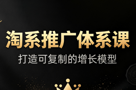 大山·淘系推广体系课-副业网创