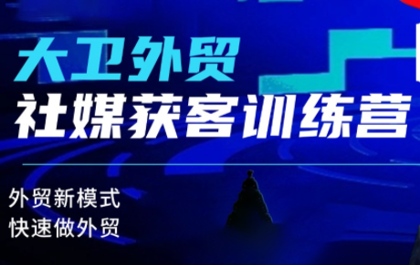 大卫老师·外贸社媒获客独家训练营(更新8月)-副业网创