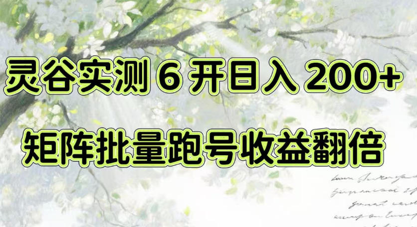 一台电脑就能做!灵谷实测6开日入200+,矩阵批量跑号收益翻倍【揭秘】-副业网创