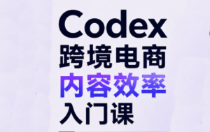 Codex跨境电商内容效率入门课-副业网创