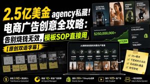2.5亿美金agency私藏！电商广告创意全攻略：告别烧钱无效，模板SOP直接用【原创双语字幕】-副业网创