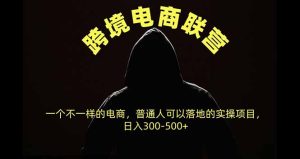 跨境电商联营，一个不一样的电商，普通人可操作日入300-500+-副业网创