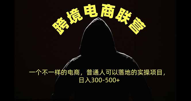 跨境电商联营，一个不一样的电商，普通人可操作日入300-500+-副业网创